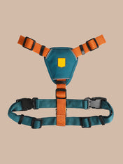 woolywolf-harnais-design-pour-chien-Color-Block-terracotta