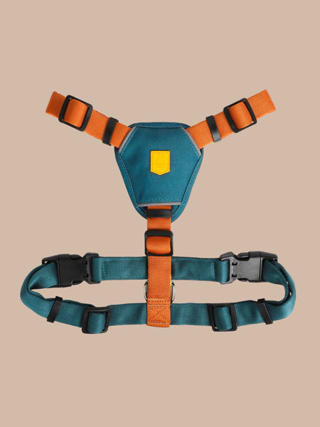 woolywolf-harnais-design-pour-chien-Color-Block-terracotta