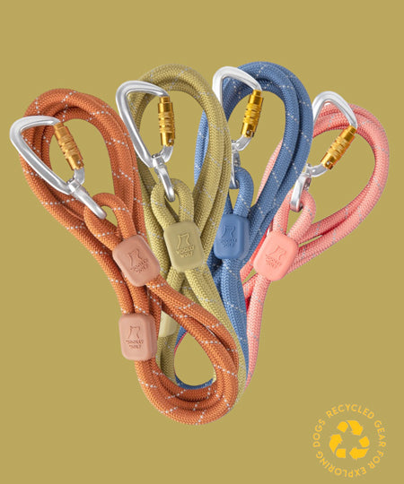 woolywolf-laisse-corde-mousqueton-design-pour-chien-terracotta