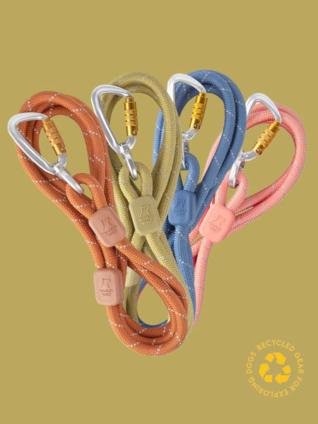 woolywolf-laisse-corde-mousqueton-design-pour-chien-terracotta