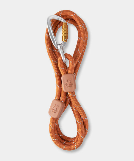 woolywolf-laisse-corde-mousqueton-design-pour-chien-terracotta