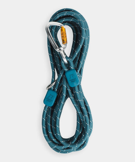 woolywolf-longe-corde-mousqueton-design-pour-chien-teal