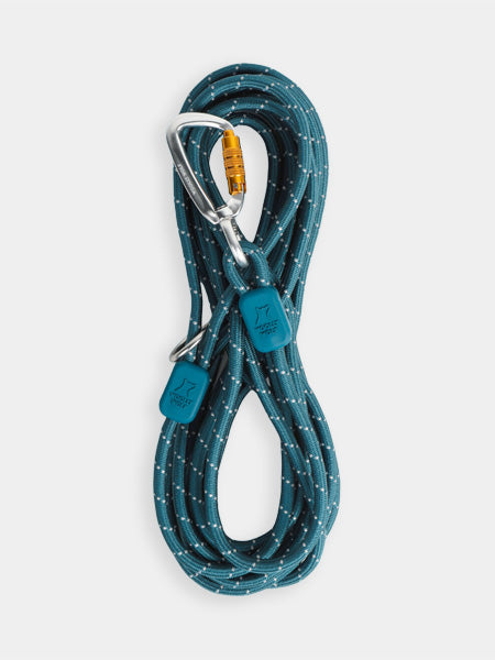 woolywolf-longe-corde-mousqueton-design-pour-chien-teal