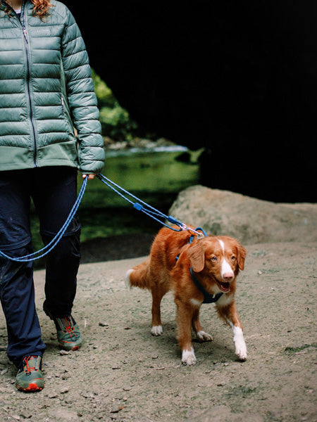 woolywolf-longe-corde-mousqueton-design-pour-chien-teal