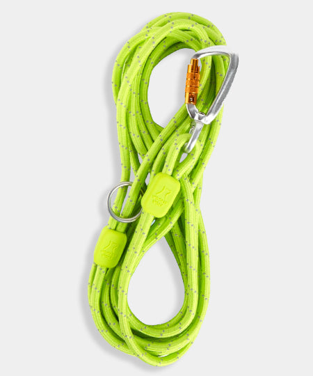 woolywolf-longe-education-corde-mousqueton-design-pour-chien-lime