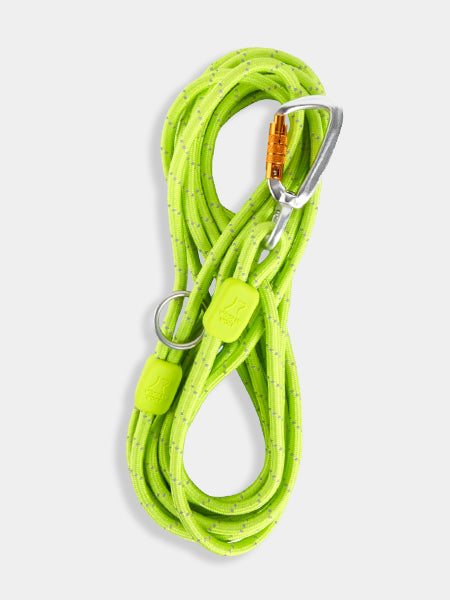 woolywolf-longe-education-corde-mousqueton-design-pour-chien-lime