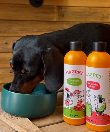 yogupet-friandise-gazpacho-pour-chien-pasteque-fraise