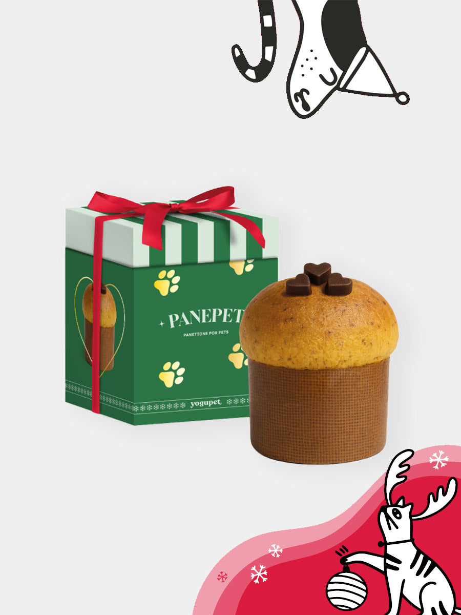 yogupet-friandise-panepet-pour-chien-2025