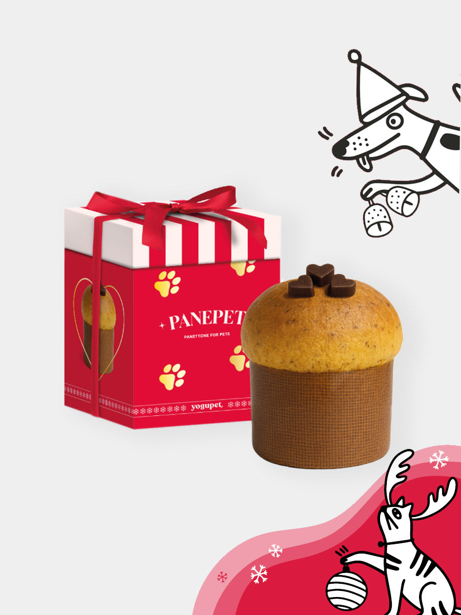 yogupet-friandise-panepet-pour-chien-2025