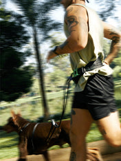 zee-dog-ceinture-canicross-pour-chien-zee-run-belt