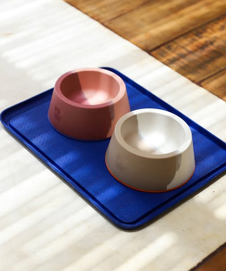 zee-dog-gamelle-antiderapante-pour-chien-melamine-Desert