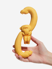 zee-dog-jouet-de-mastication-resistant-nylon-Hooky-Frutty