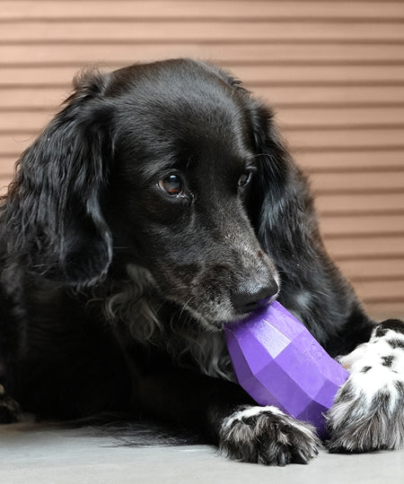 zee-dog-jouet-distributeur-friandises-interactif-Super-Veggiez-aubergine