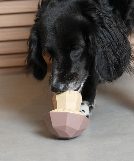 zee-dog-jouet-distributeur-friandises-interactif-Super-Veggiez-champignon