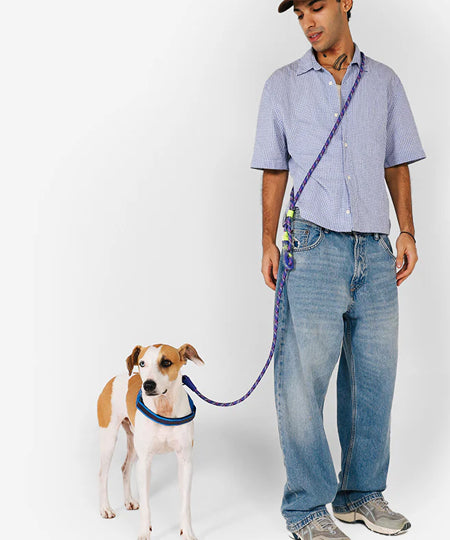 zee-dog-laisse-pour-chien-main-libre-reglable-tokyo