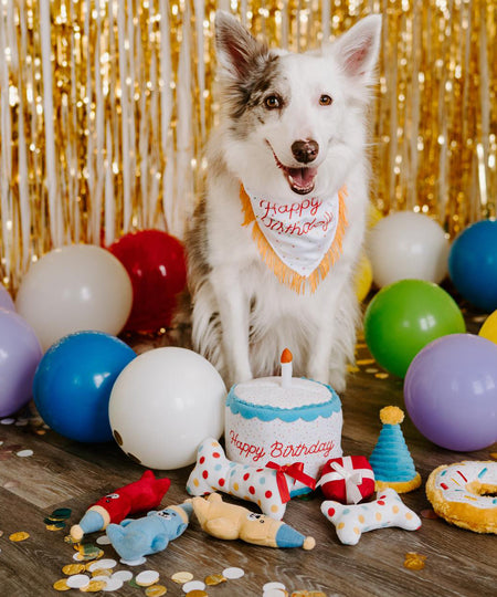 zippy-paws-Burrow-peluche-pour-chien-gateau-anniversaire