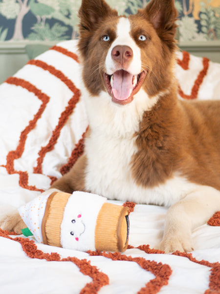 zippy-paws-NomNomz-peluche-pour-chien-Puppuccino