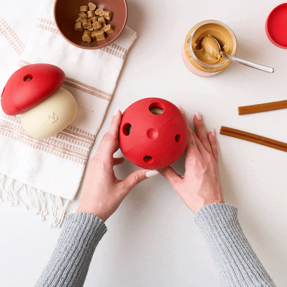 zippy-paws-jouet-distributeur-friandises-pour-chien-champignon-optimize