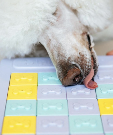 Jouet d'occupation et de réflexion pour chien - Panel slider - ZippyPaws - inooko