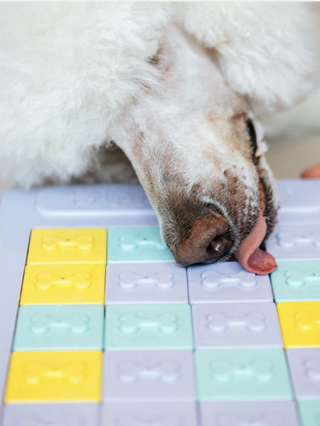 Jouet d'occupation et de réflexion pour chien - Panel slider - ZippyPaws - inooko