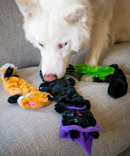 zippy-paws-peluche-pour-chien-Halloween-Skinny-Peltz