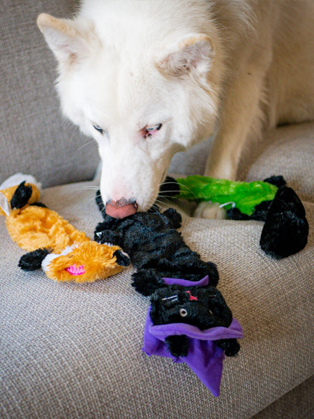 zippy-paws-peluche-pour-chien-Halloween-Skinny-Peltz