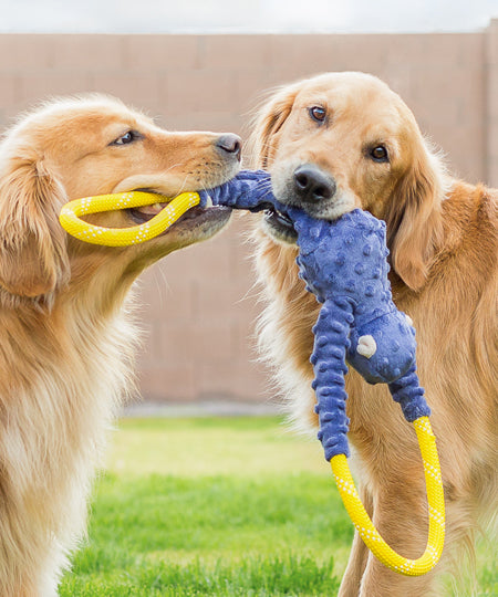 zippy-paws-peluche-pour-chien-singe