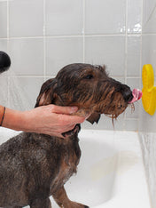 AFP-tapis-de-lechage-canard-bain-pour-chien-enrichissement
