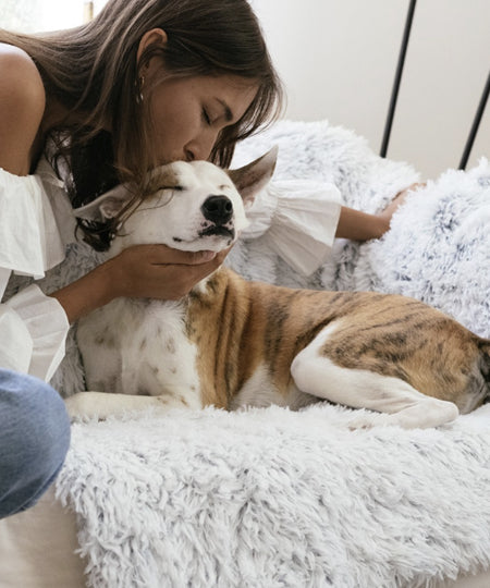 Best-Friend-by-Sheri-plaid-ultra-confort-doux-pour-chien-gris