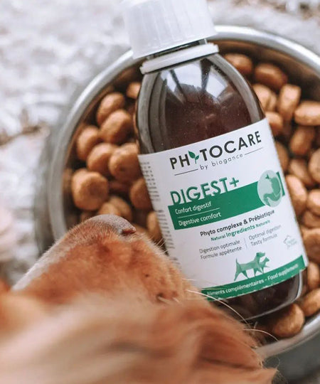 Biogance-complements-alimentaires-naturels-chien-DIGEST_-CONFORT-DIGESTIF