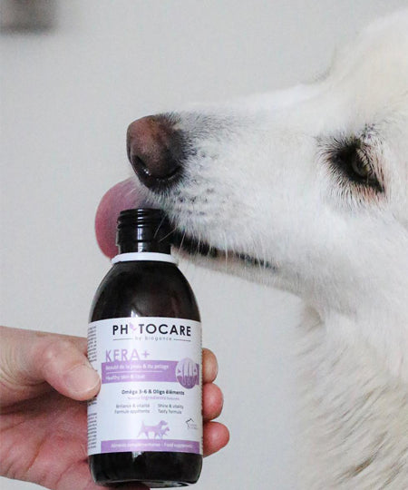 Biogance-complements-alimentaires-naturels-chien-KERA_BEAUTE-PEAU-POIL