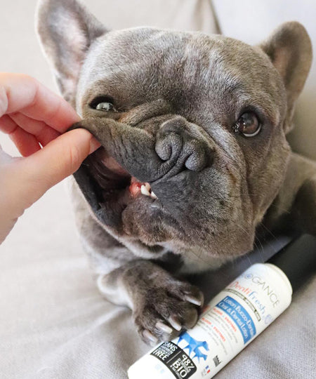 Biogance-soins-dentaire-naturels-chien-denti-fresh