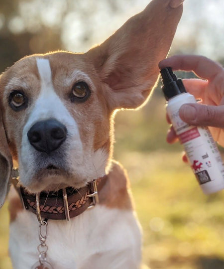 Biogance-soins-naturelles-chien-LOTION-DES-OREILLES