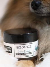 Biogance-soins-naturelles-chien-baume-coussinets