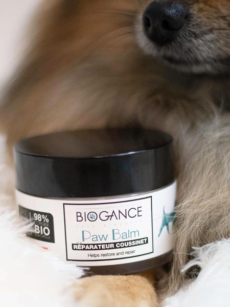 Biogance-soins-naturelles-chien-baume-coussinets