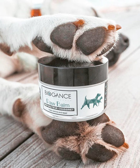 Biogance-soins-naturelles-chien-baume-coussinets