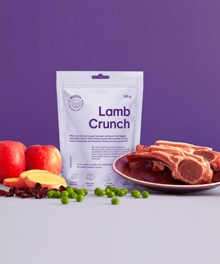 Buddy-petfoods-friandises-naturelles-chien-agneau