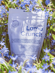 Buddy-petfoods-friandises-naturelles-chien-agneau