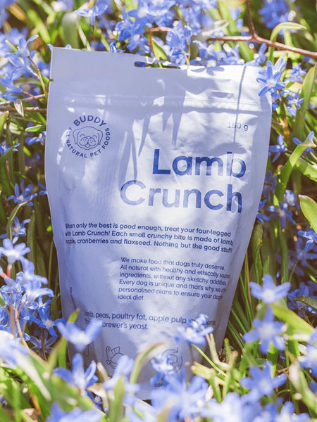 Buddy-petfoods-friandises-naturelles-chien-agneau