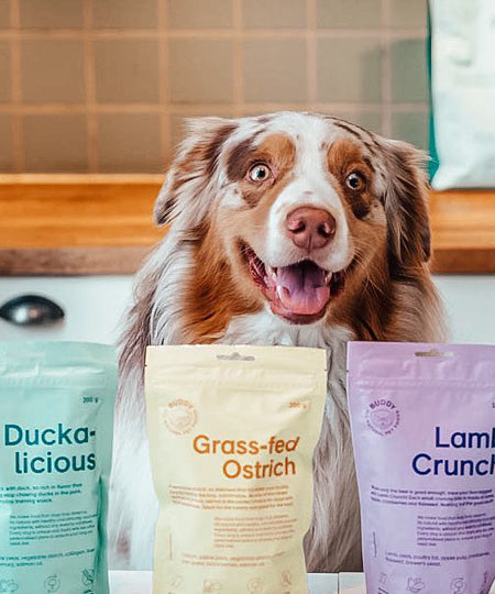 Buddy-petfoods-friandises-naturelles-chien-autruche