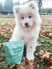 Buddy-petfoods-friandises-naturelles-chien-canard-duckalicious