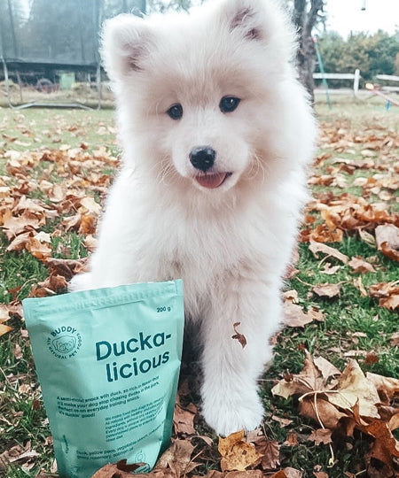 Buddy-petfoods-friandises-naturelles-chien-canard-duckalicious
