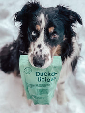Buddy-petfoods-friandises-naturelles-chien-canard-duckalicious