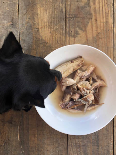 Canumi-friandise-alimentation-naturelles-chien-sardines