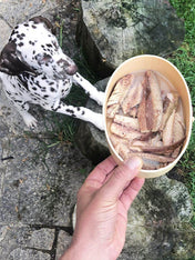 Canumi-friandise-alimentation-naturelles-chien-sardines