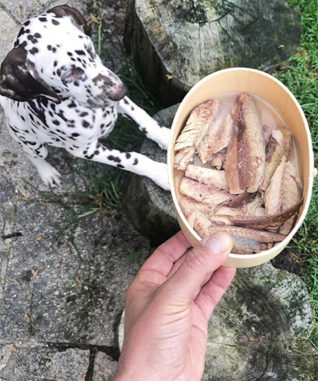 Canumi-friandise-alimentation-naturelles-chien-sardines