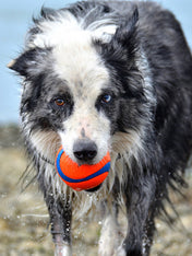 Chuckit-ball-pour-chien-ultra-ball