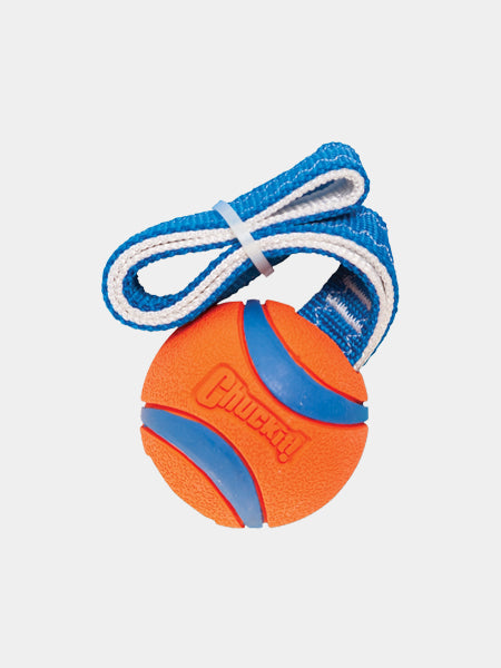 Chuckit-balle-ultra-tug-m-pour-chien