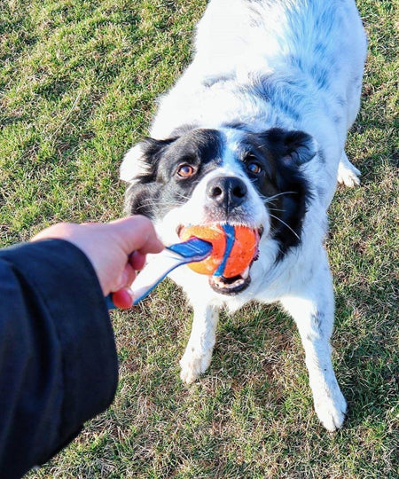 Chuckit-balle-ultra-tug-m-pour-chien