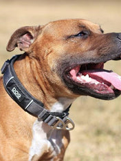 DOG-Copenhagen-collier-pour-chien-resistant-urban-explorer-noir